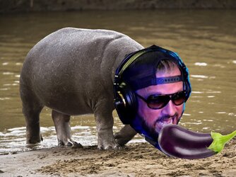 Hippopotamus 1.jpg