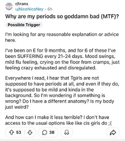 Tranny L post 51.jpg