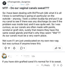 Tranny L post 54.jpg