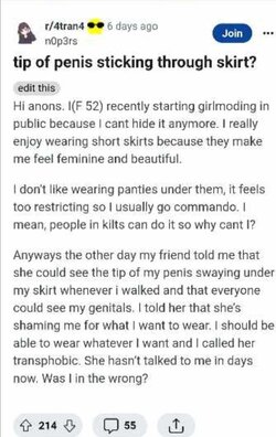 Tranny L post 69.jpg