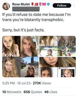 Tranny L post 103.jpg