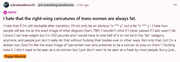 Tranny L post 107.jpg