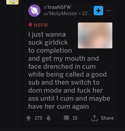 Tranny L post 113.jpg