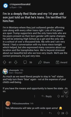 Tranny L post 146.jpg