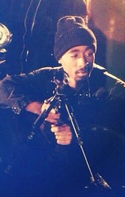 22pac rifle.jpg