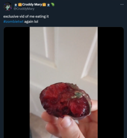 Screenshot 2024-07-25 191025.png