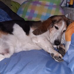 20240420_032709.jpg