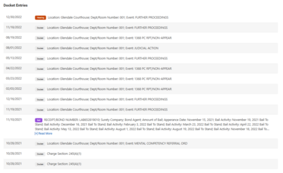 Shadman Docket Entries.png