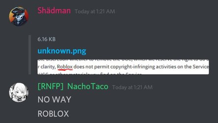 Roblox Copyright.jpg