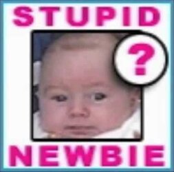 stupid newbie.jpg