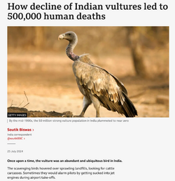 Total Vulture Death.png