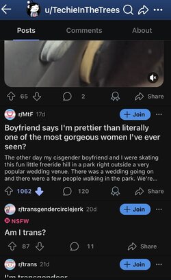 IMG_1380.jpeg