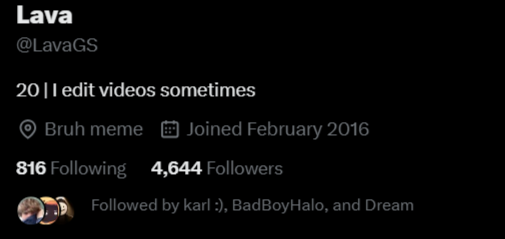 FireShot Capture 2820 - Posts with replies by Lava (@LavaGS) _ X - x.com.png