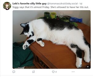 sigtits-cleaned.jpg
