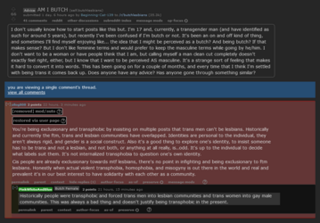 r-butchlesbians-powertrippingtrannyjanny03a.png