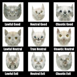 catds.jpg
