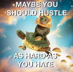 1722097122069.png