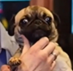1722105204298.png