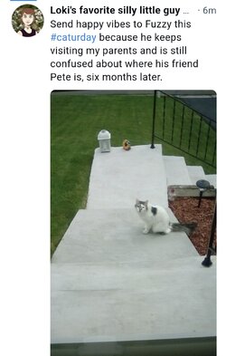 Screenshot_20240727-203508.jpg