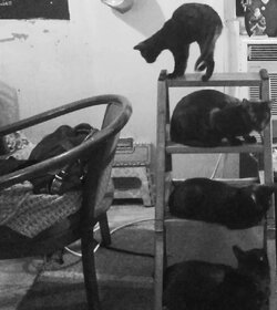 @polissa1983-7396396618683190574-slide (16).jpeg