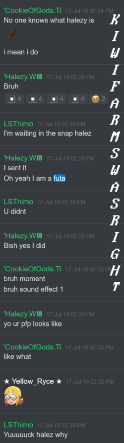 Screenshot 2024-07-27 at 20-22-42 Dank Memes - general.png