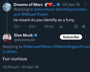 elon_02.jpg