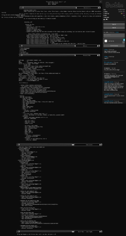 Screenshot 2024-07-28 at 12-38-11 Doxbin - Ava Kris Tyson.png