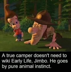 20240728_083033.jpg