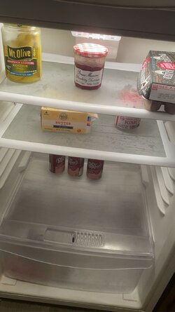 IMG_4439.jpeg