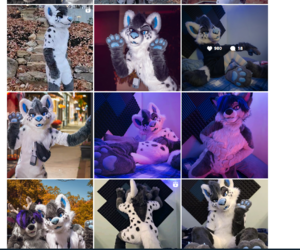 furry pic 2.PNG