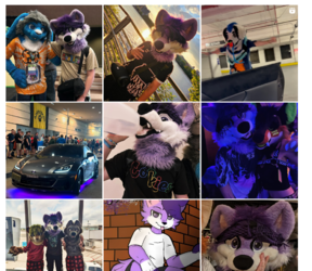 furry pic 4.PNG
