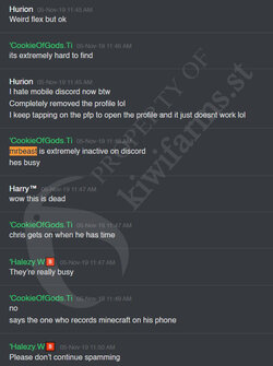 leaked-discord-kris-tyson-mrbeast-rarely-use-discord-kiwi.jpg