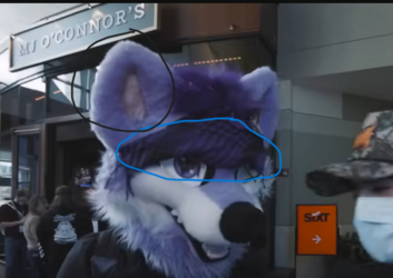furry.png