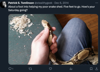 Snake.png