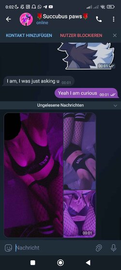 paws3.jpg