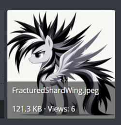 jpeg.png