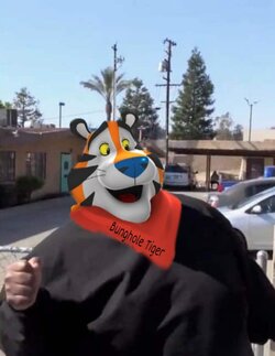 1000027662.jpg