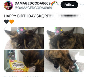 IMG_1407.jpeg