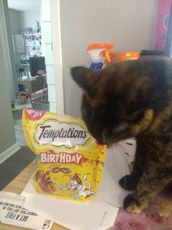 IMG_1410.jpeg