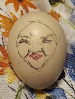 20240730_021901.jpg