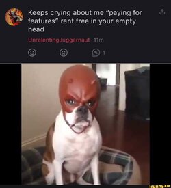 IMG_9933.jpeg
