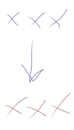 493EDE3E-215D-41D6-9E1F-5E97295D35A8.jpeg