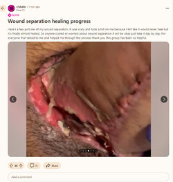 ALT_horrors5.jpg
