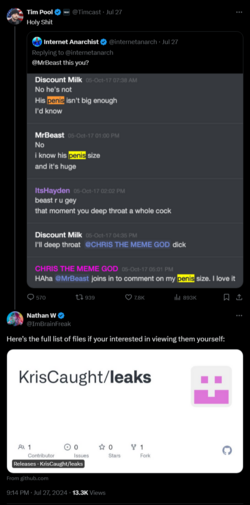 FireShot Capture 2897 - Nathan W on X_ _@Timcast Here’s the full list of files if your inter_ ...png