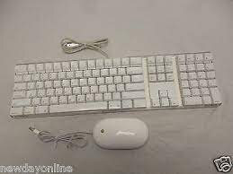 images-5.jpeg