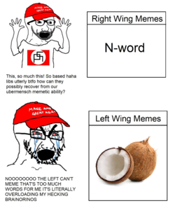 right-wing-memes-vs-left-wing-memes-coconut.png