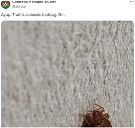 1722442528933.png