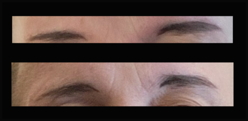 Shittybrows.png