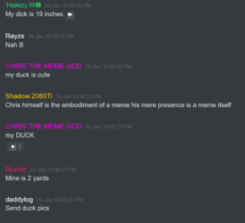 Screenshot 2024-07-31 at 14-49-31 Dank Memes - general.png
