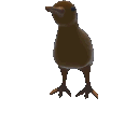 599400970060955649.gif